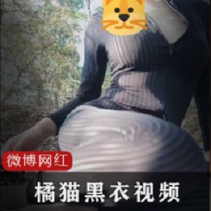 网红橘猫黑条纹衣：50套多元化视频，让你享受自娱自乐！